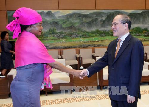 ប្រធានរដ្ឋសភាវៀតណាទទួលជួបសន្ទនាជាមួយប្រធានសភាជាន់ទាបអាហ្វ្រិកខាងត្បូង